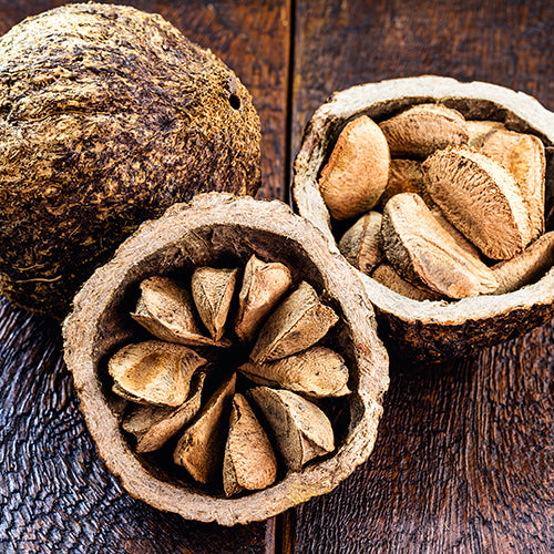Paranüsse als natürliche Quelle für Selenium zur Herstellung von Selen-Kapseln mit Vitamin C Ester
