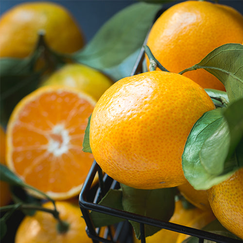 JETZT VORBESTELLEN! Omega3 KIDS Orange